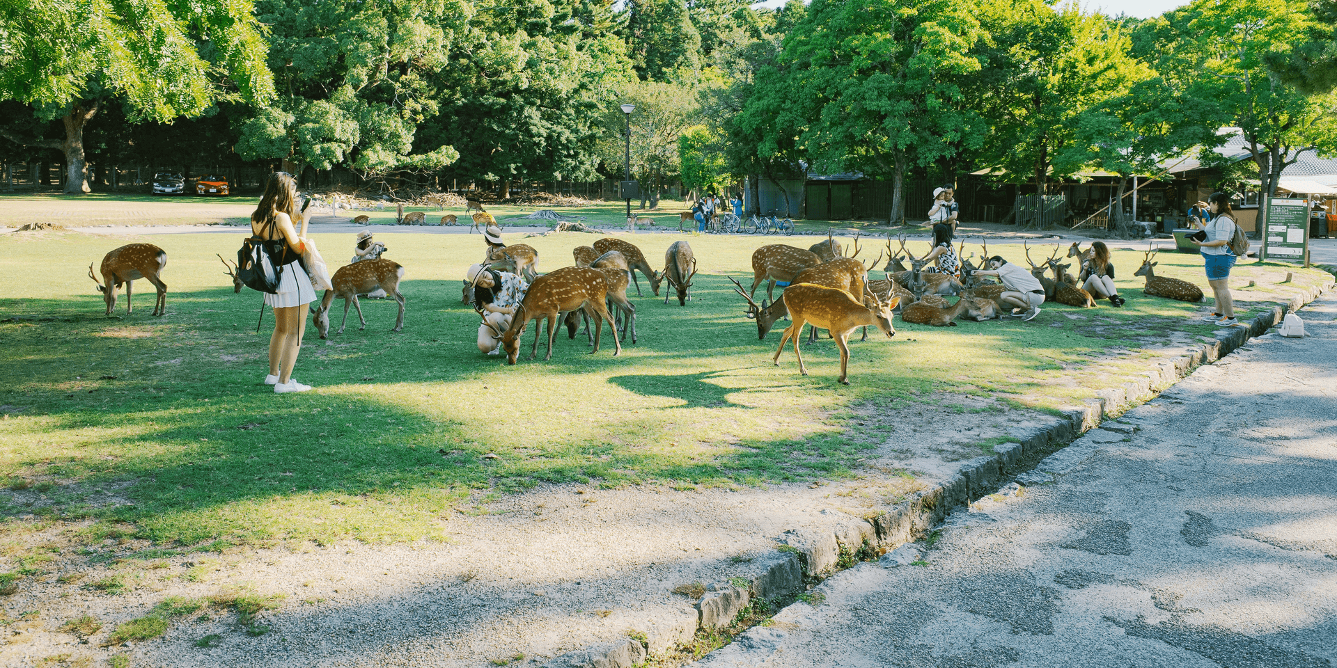 Nara, Japan