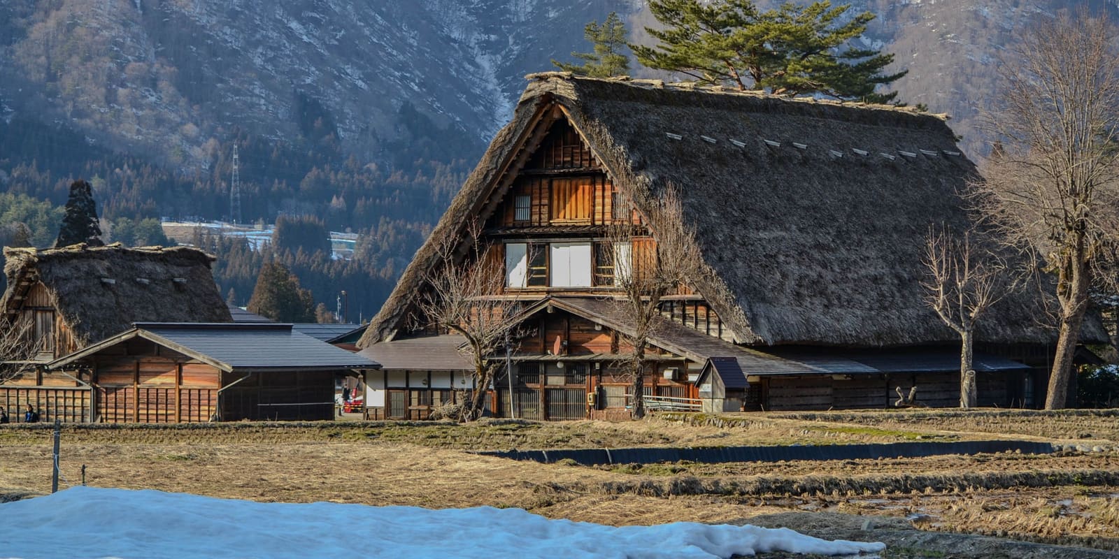 A row of thatched-roof gassho-zukuri farmhouses in the mountain valley village of Ogimachi, Shirakawa-go