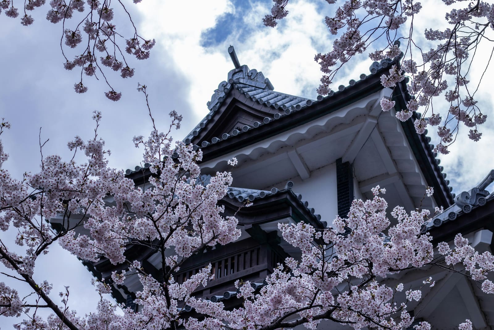 Reconstructed white-walled turrets and stone walls of Kanazawa Castle in Marunouchi, Kanazawa