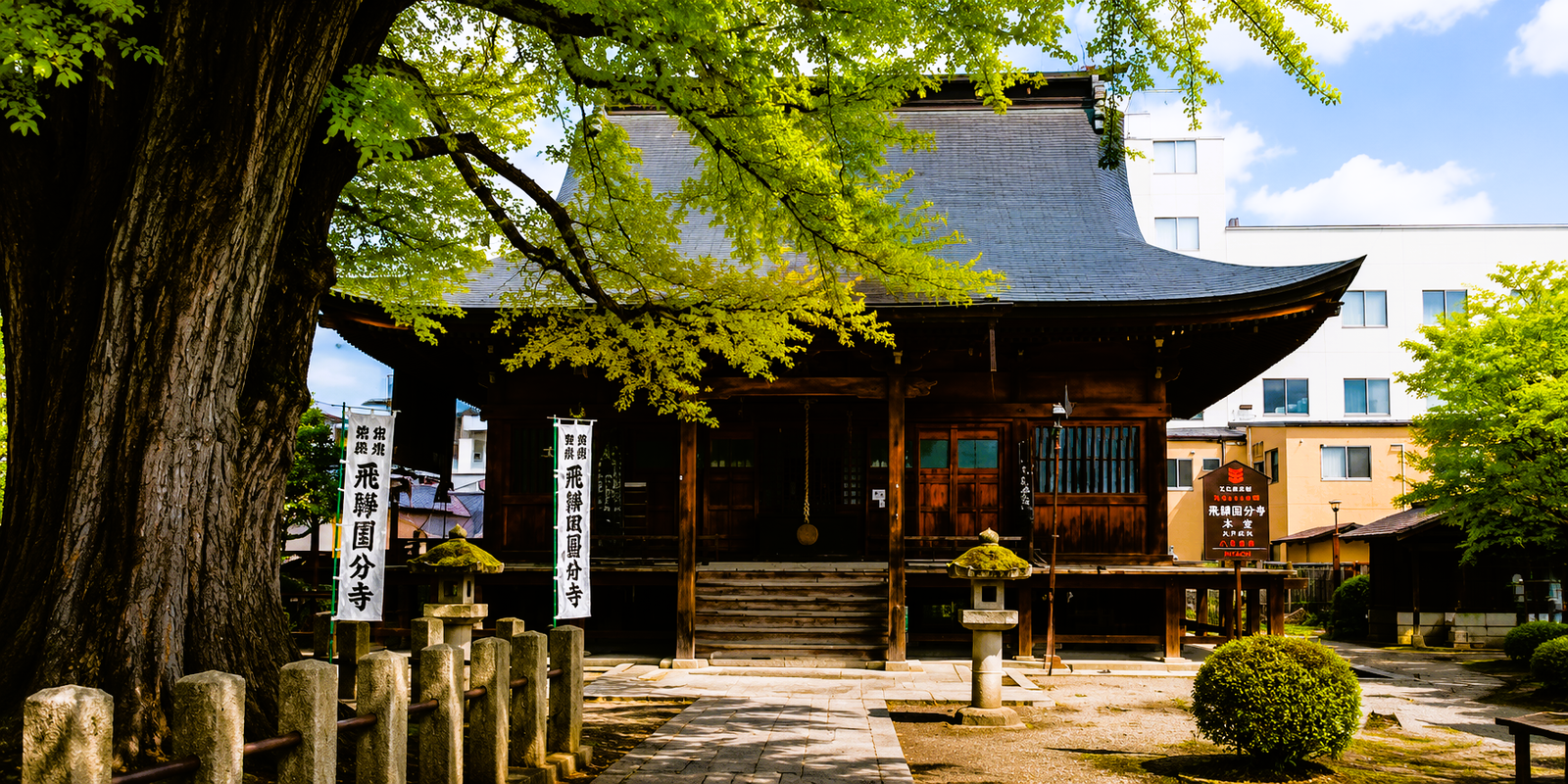 Golden ginkgo tree canopy over the three-story pagoda at Hida Kokubunji Temple, Takayama, Japan