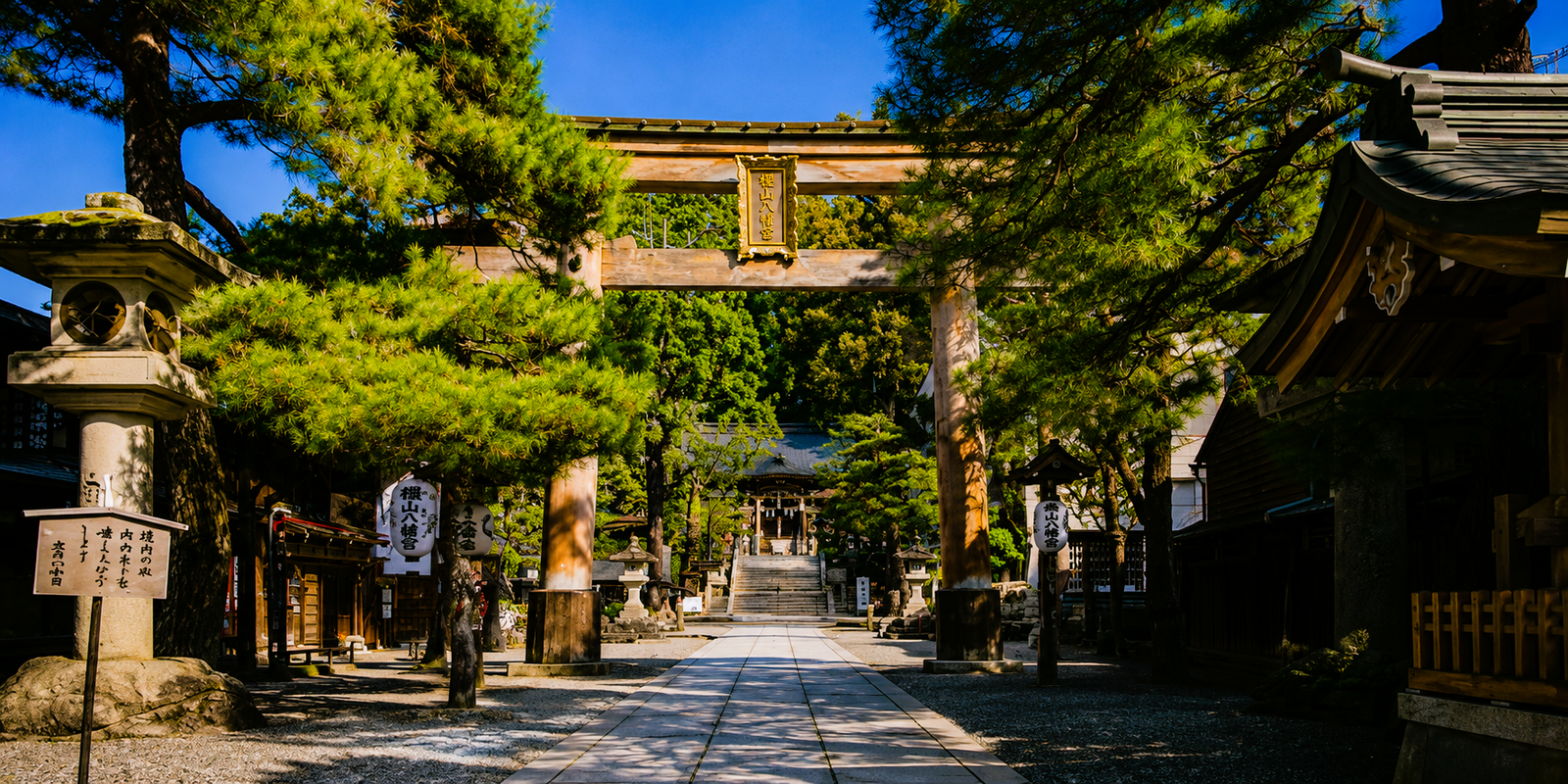 Torii gate approach through cedar trees leading to Sakurayama Hachimangu Shrine in Takayama, Gifu Prefecture