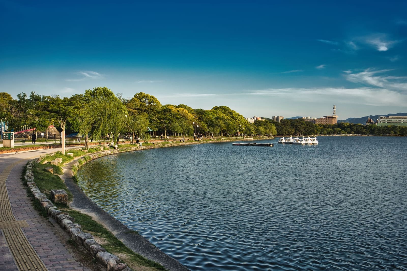 Walking paths around the lake at Ohori Park in Fukuoka
