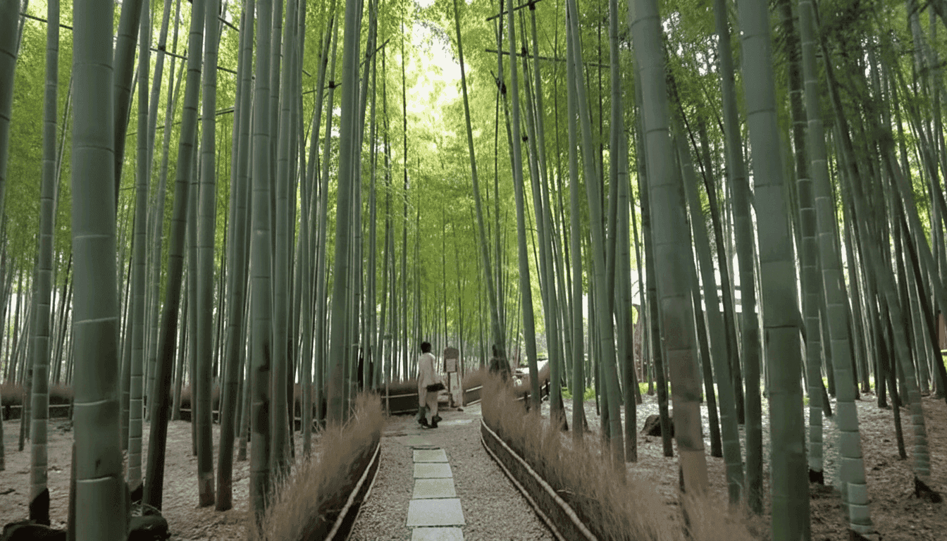 Stone path through the tall bamboo grove at Hokokuji Temple in Kamakura