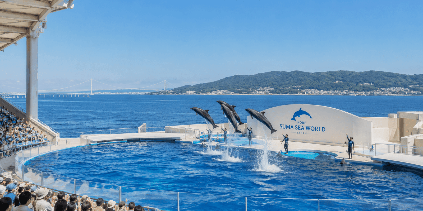 Dolphins leaping during a show at Kobe Suma Sea World with the Akashi Kaikyo Bridge visible in the background
