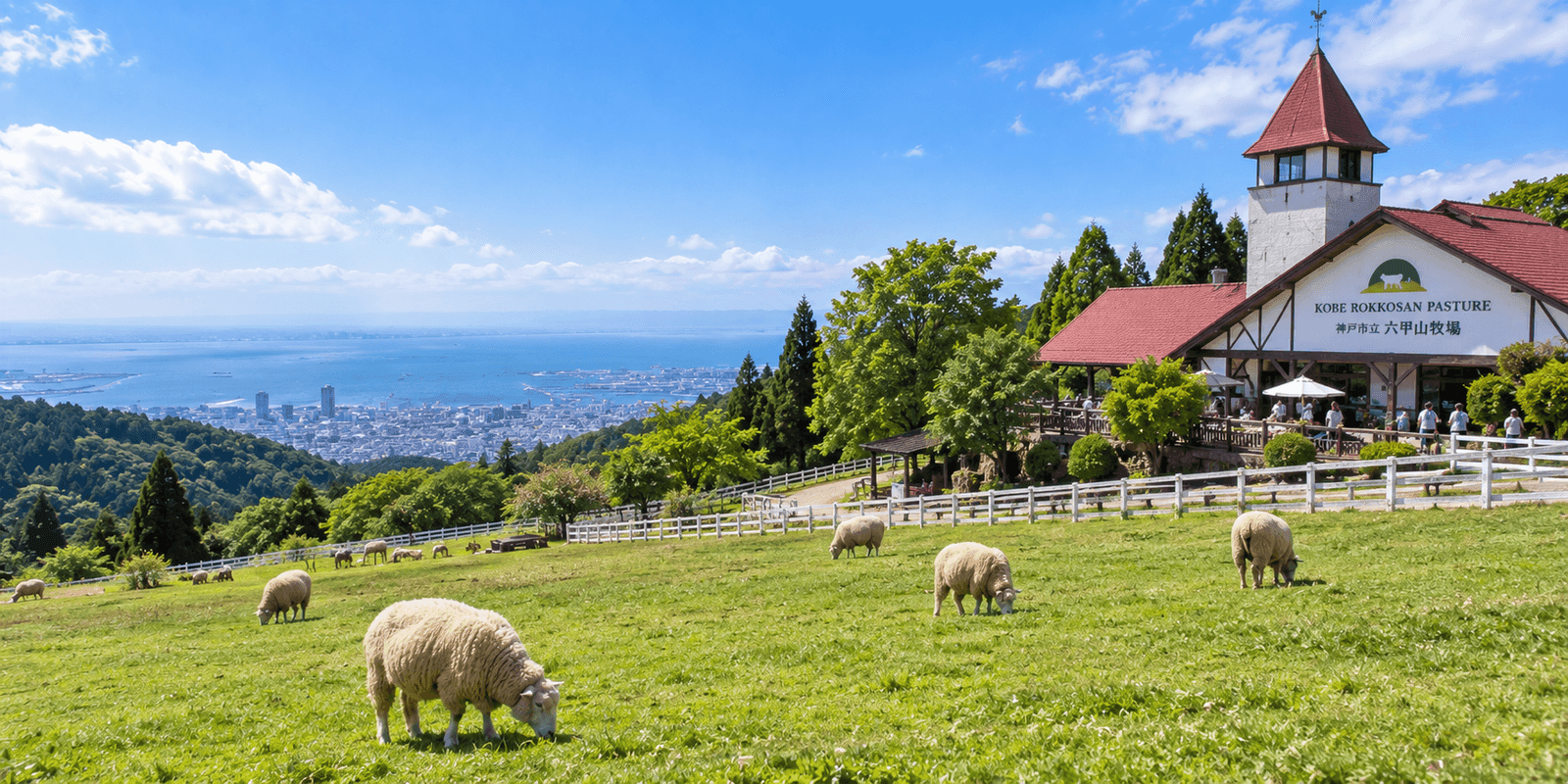 Sheep grazing on the hillside at Rokkosan Pasture with a view of Kobe and Osaka Bay below