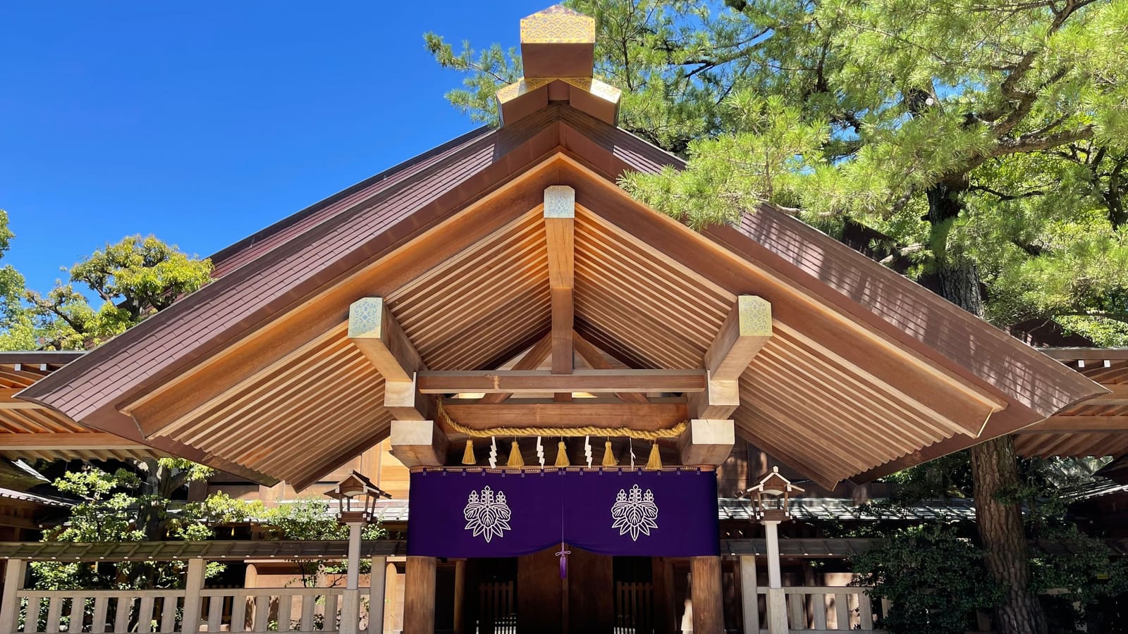 Ancient camphor tree wrapped in a sacred shimenawa rope on the Atsuta Jingu grounds