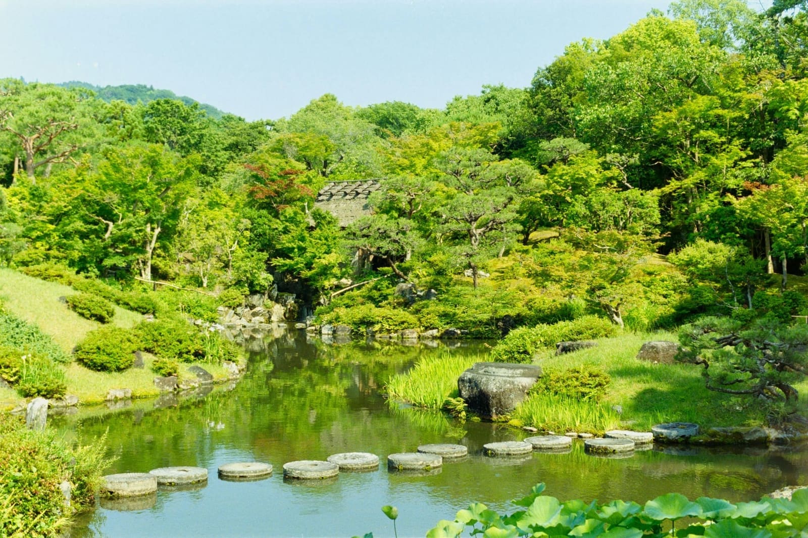 Isuien Garden pond with moss and stepping stones Nara Japan