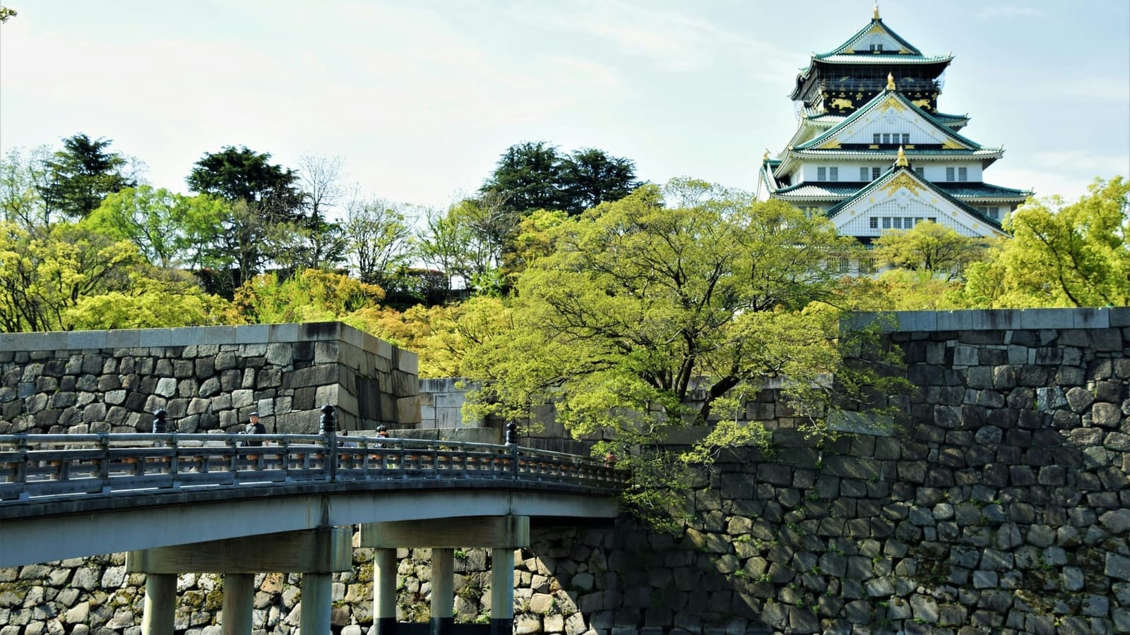Osaka Castle white tower and stone walls reflected in the moat, surrounded by cherry blossoms in spring, Japan