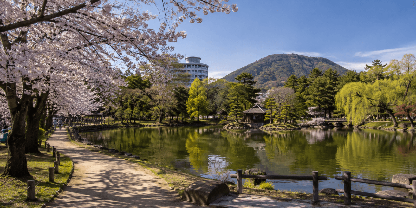 Cherry blossom trees along a walking path in Maruyama Park, Sapporo