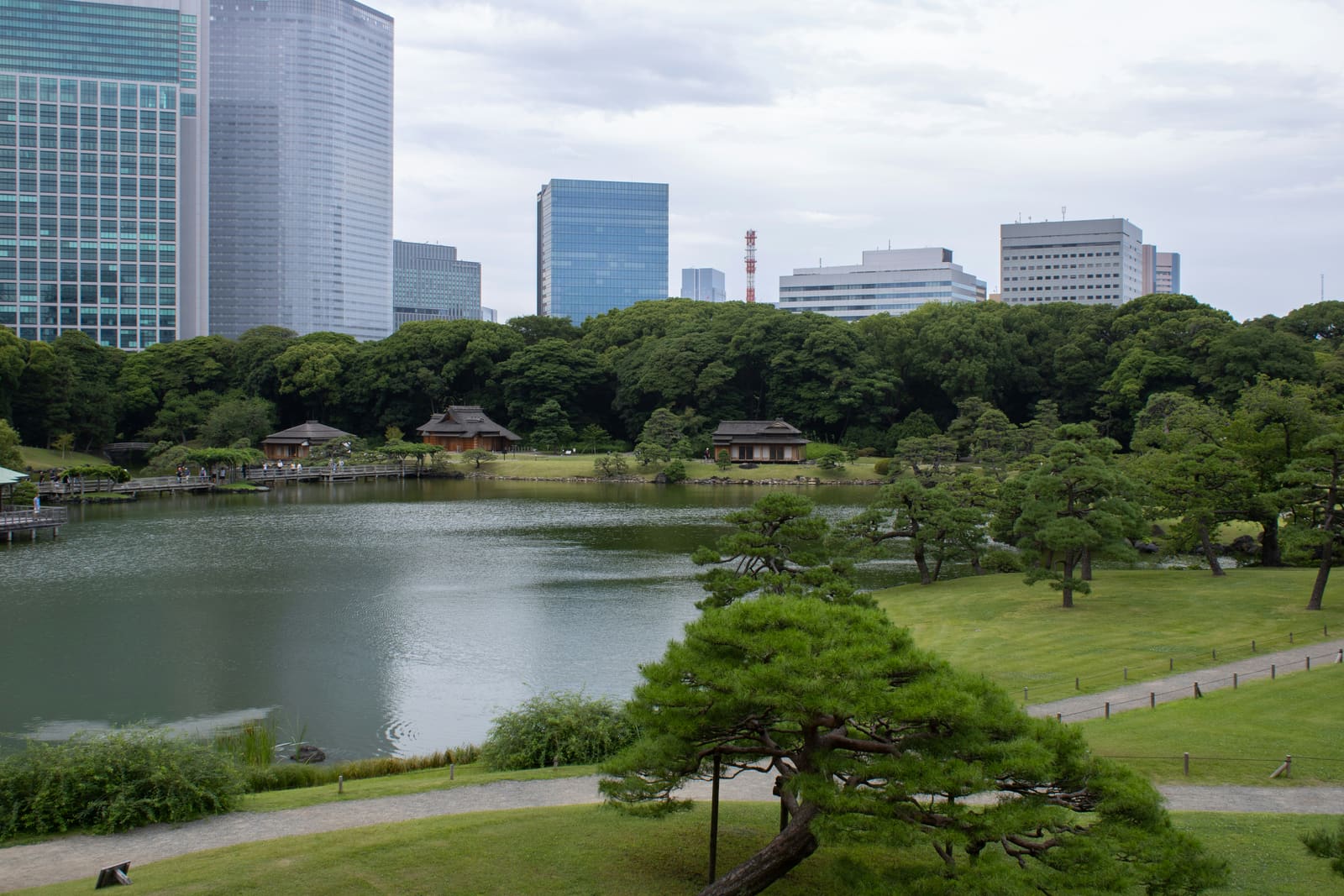 Hamarikyu Gardens traditional tidal pond and garden, Tokyo Bay, Japan
