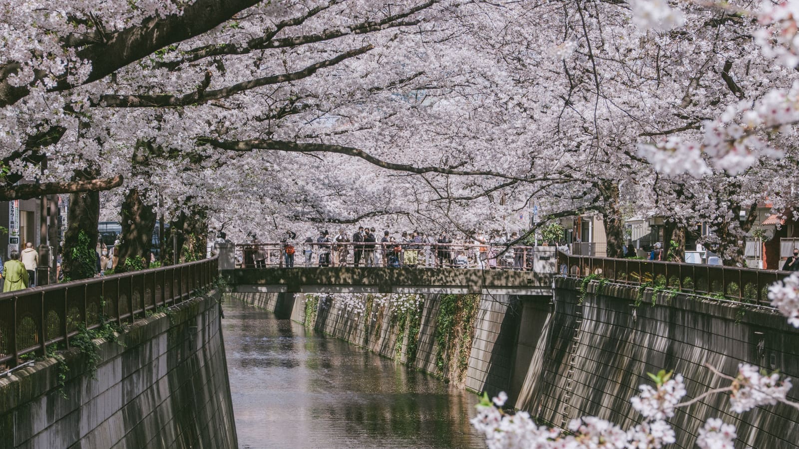 Nakameguro - canal-side street lined with cafés and boutiques, Meguro, Tokyo, Japan
