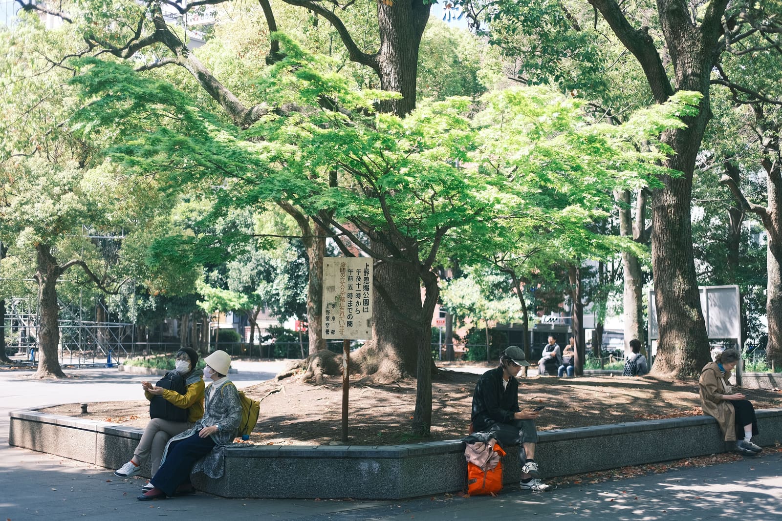 Looking up through green tree branches in Shiba Park with Tokyo Tower visible above