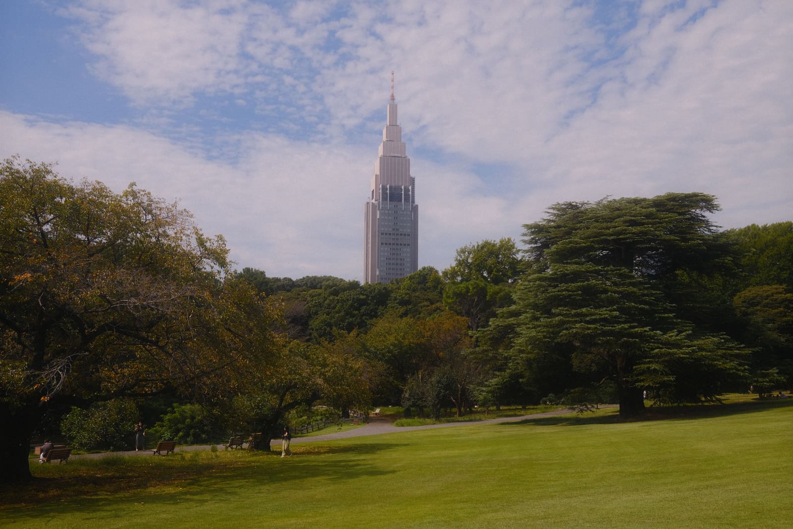 Shinjuku Gyoen National Garden - cherry blossom trees and wide open lawns in Shinjuku, Tokyo, Japan