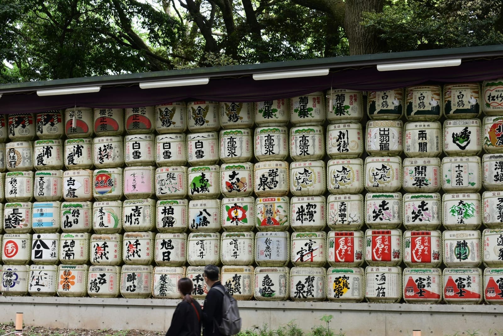 Wall of traditional sake barrels stacked along the forested approach path at Meiji Shrine in Tokyo