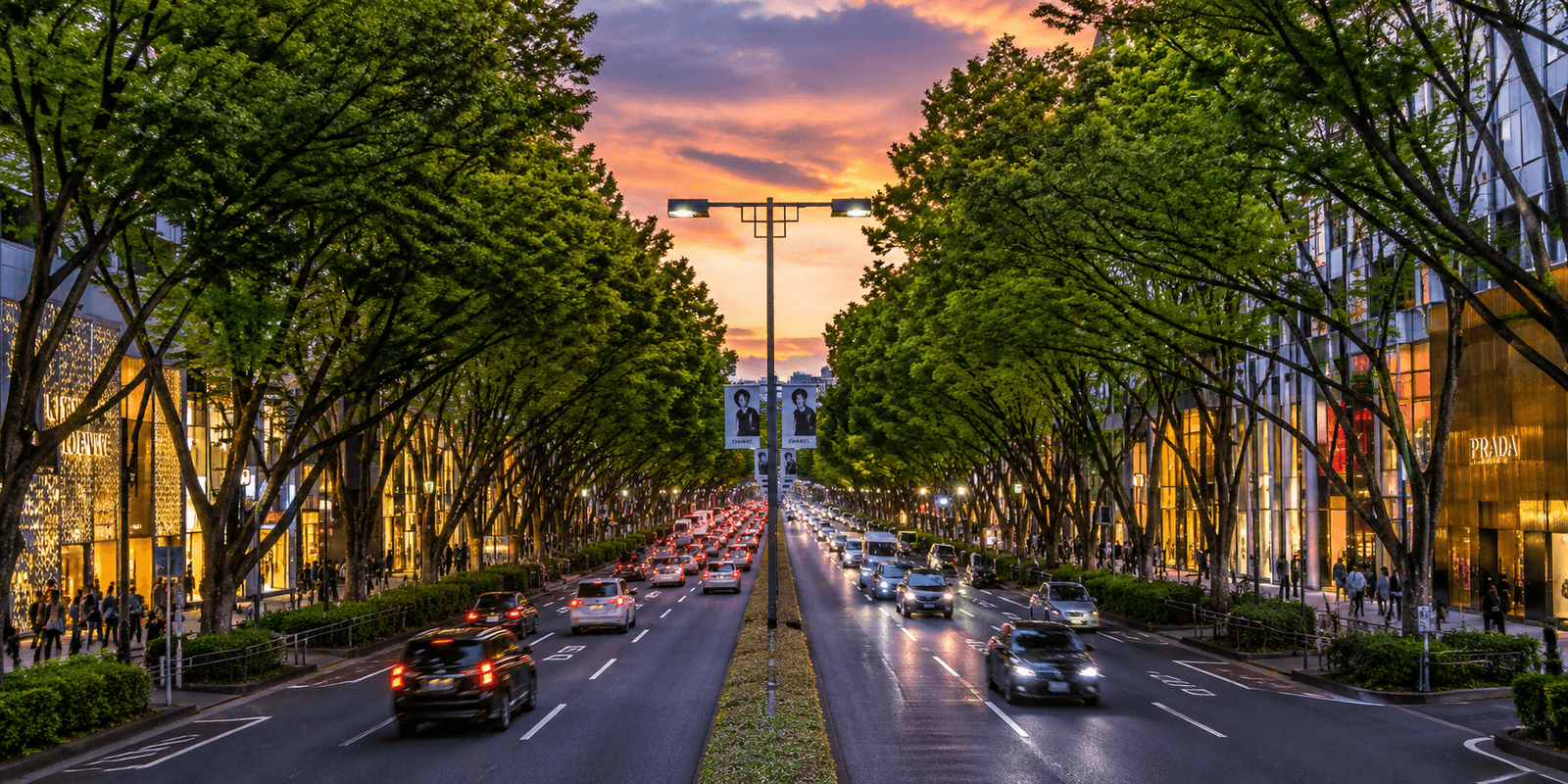 Omotesando's tree-lined boulevard with Omotesando Hills and luxury flagship architecture, Shibuya and Minato, Tokyo, Japan