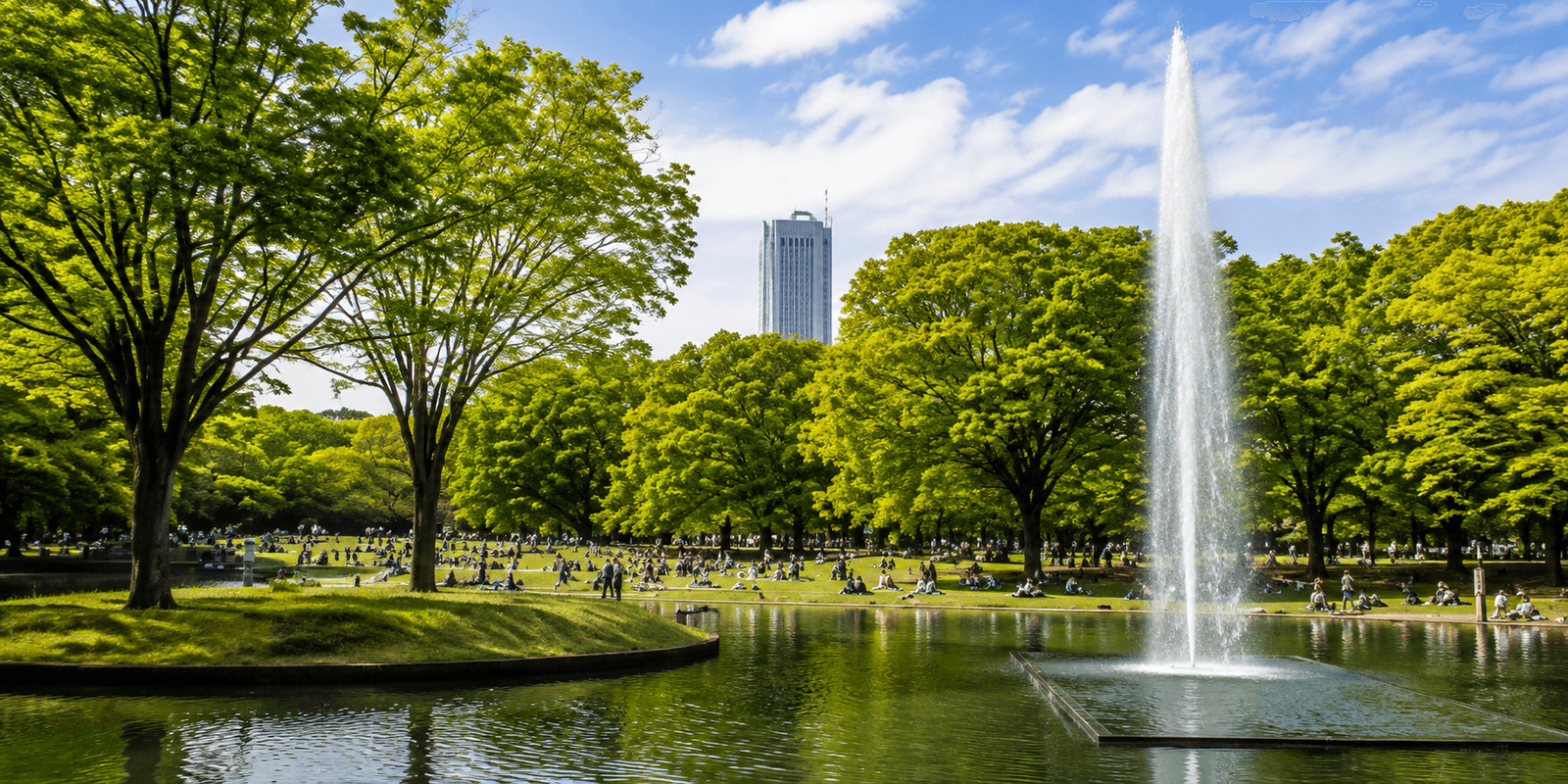 Yoyogi Park's wide open lawns and tree-lined paths, Shibuya, Tokyo, Japan