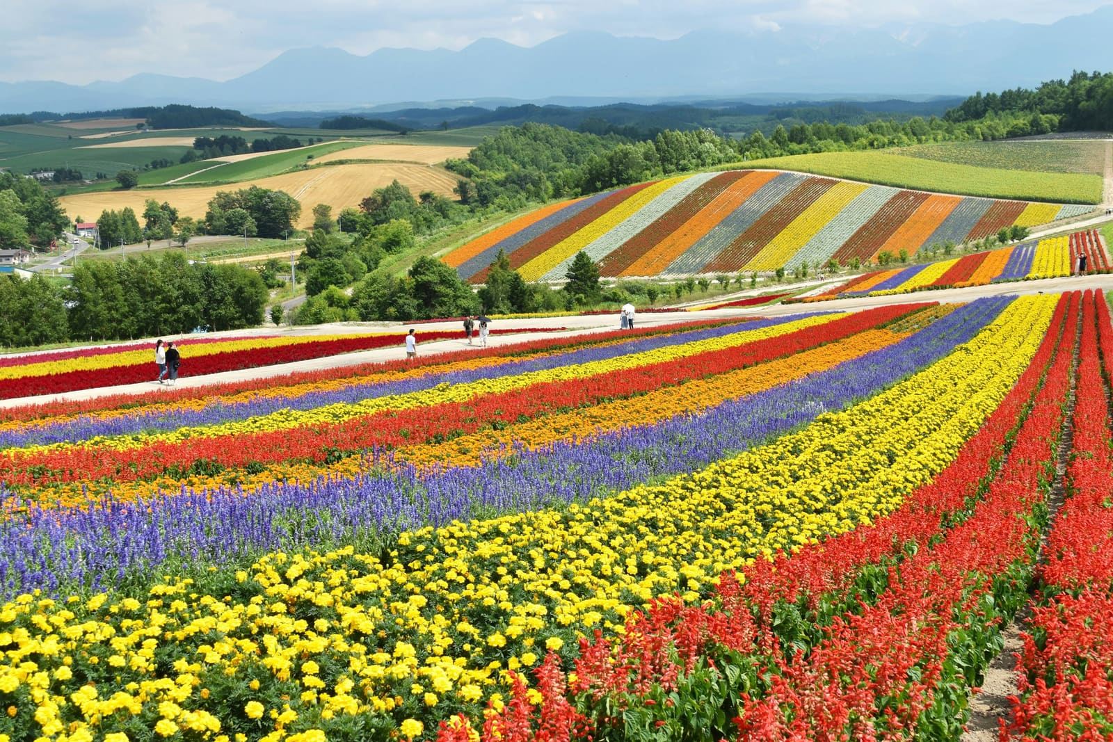 Open countryside scenery, the visual theme of this warm-season Hokkaido itinerary