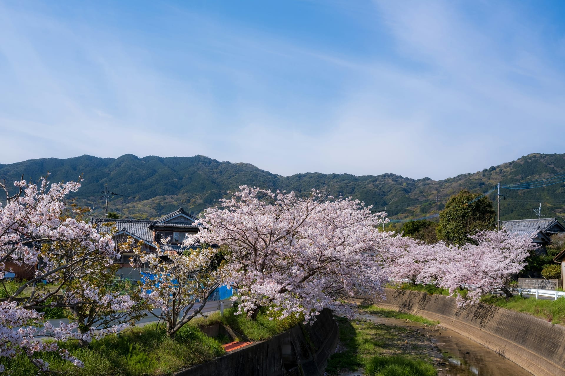 Stone walls of Fukuoka Castle Ruins surrounded by greenery