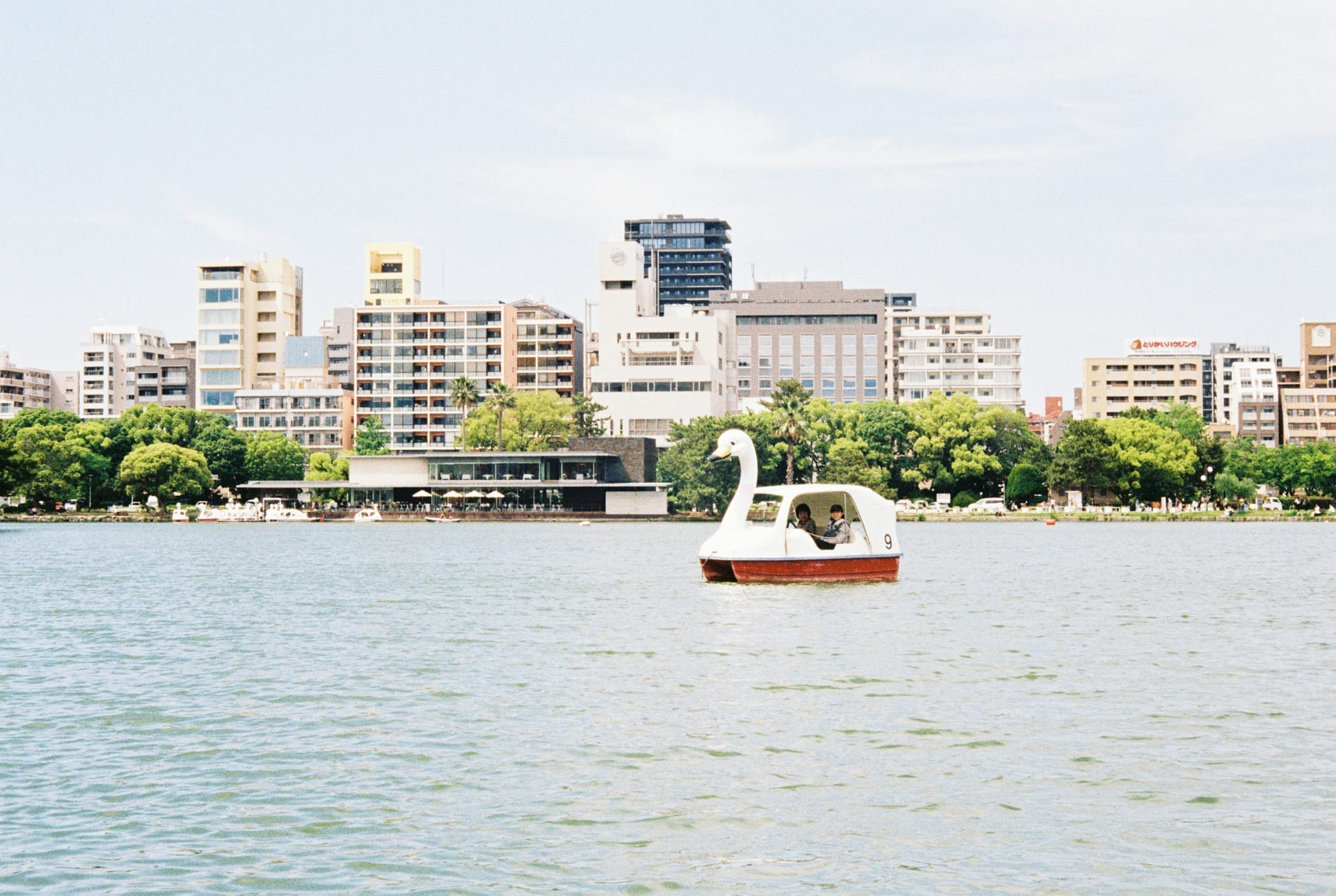 Bridges and islands across the lake at Ohori Park in Fukuoka