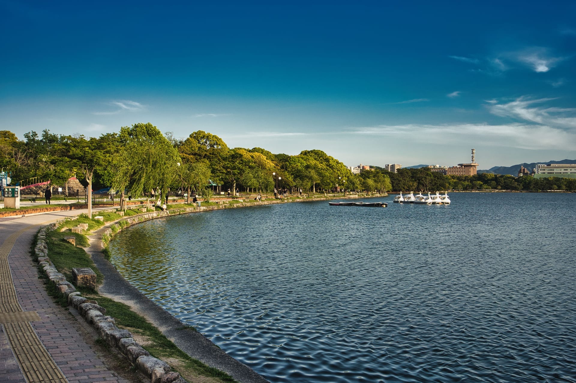 Walking paths around the lake at Ohori Park in Fukuoka