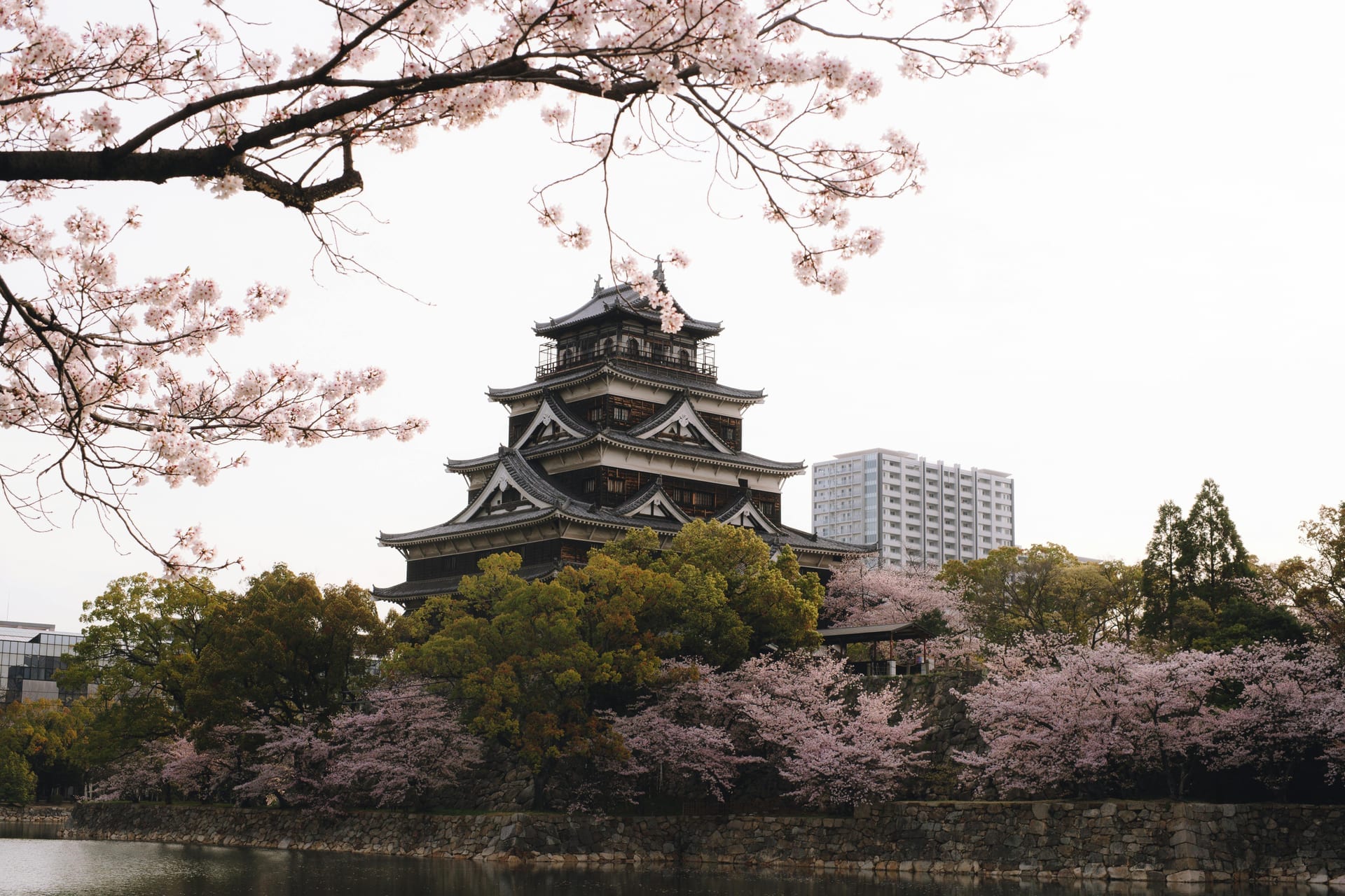 Hiroshima Castle surrounded by pink cherry blossom trees in spring reflected across the moat, Japan