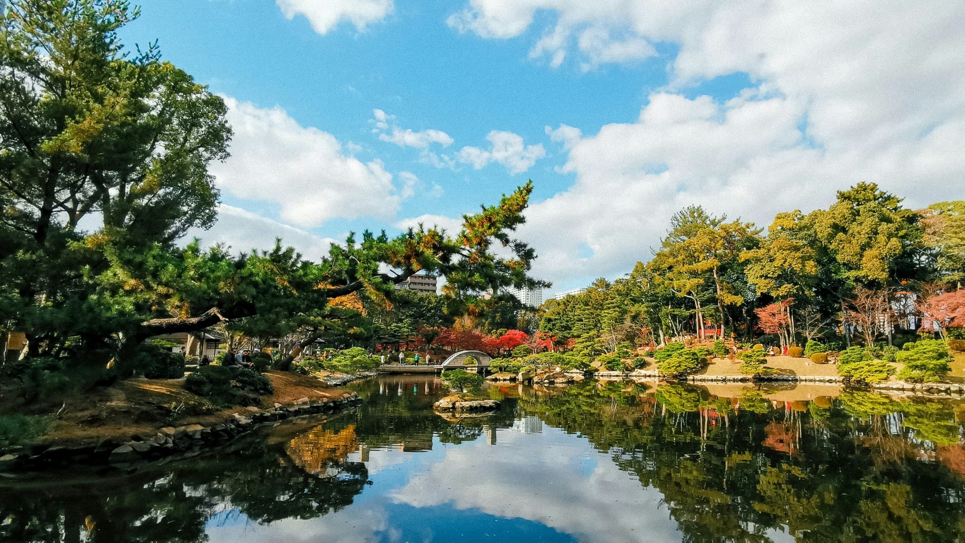 Shukkeien Garden central pond with pine trees and cloud reflections on a sunny autumn day, Hiroshima Japan