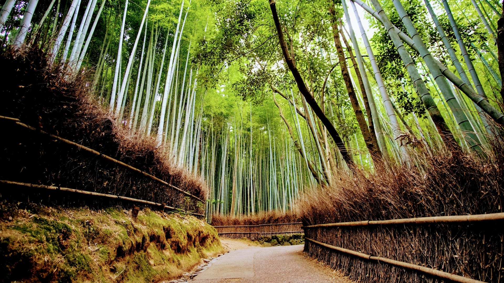 Togetsukyo Bridge and riverside scenery in the Arashiyama district of Kyoto