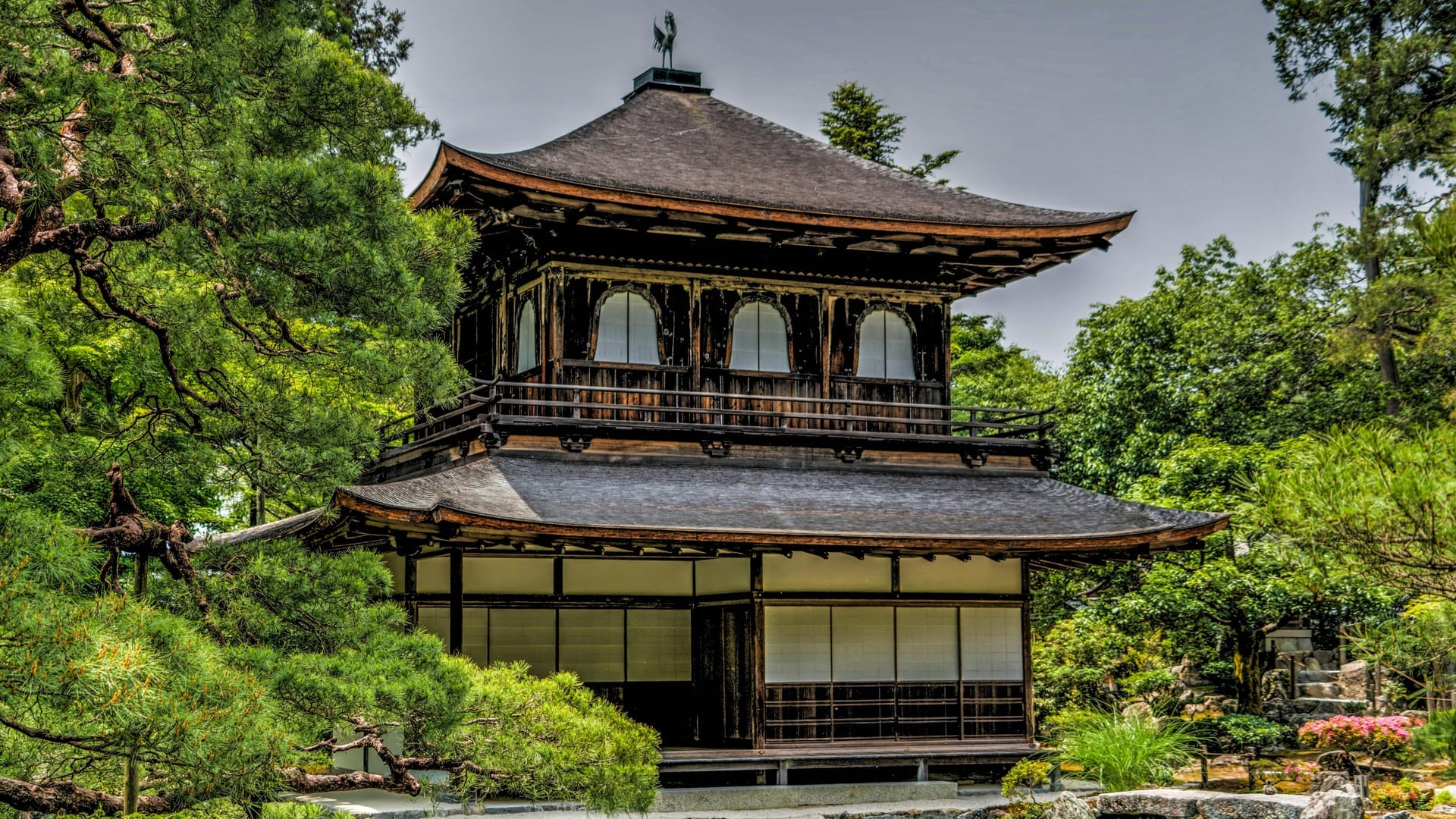 Moss garden and shaped trees in the landscape gardens of Ginkaku-ji Kyoto