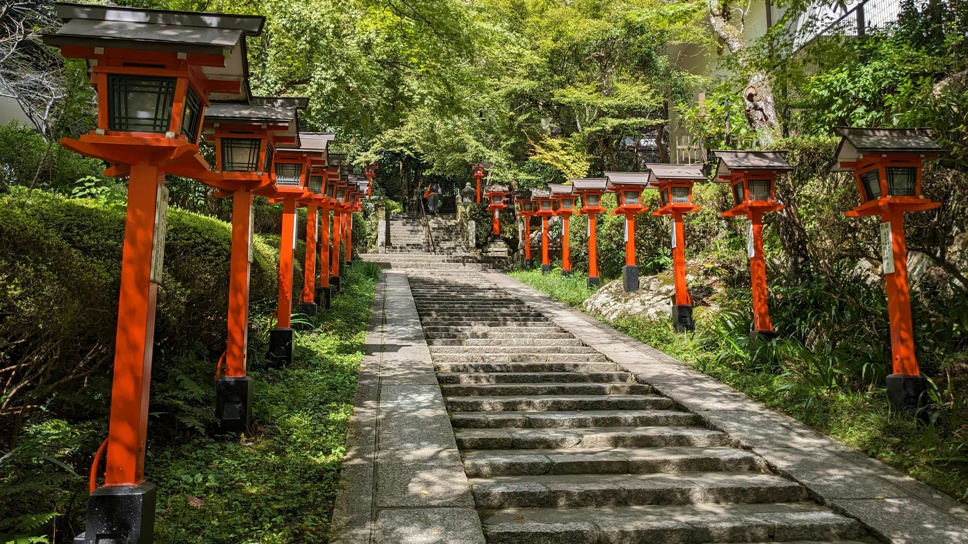 Forest hiking trail with stone steps and moss-covered roots on the mountain path between Kurama and Kibune