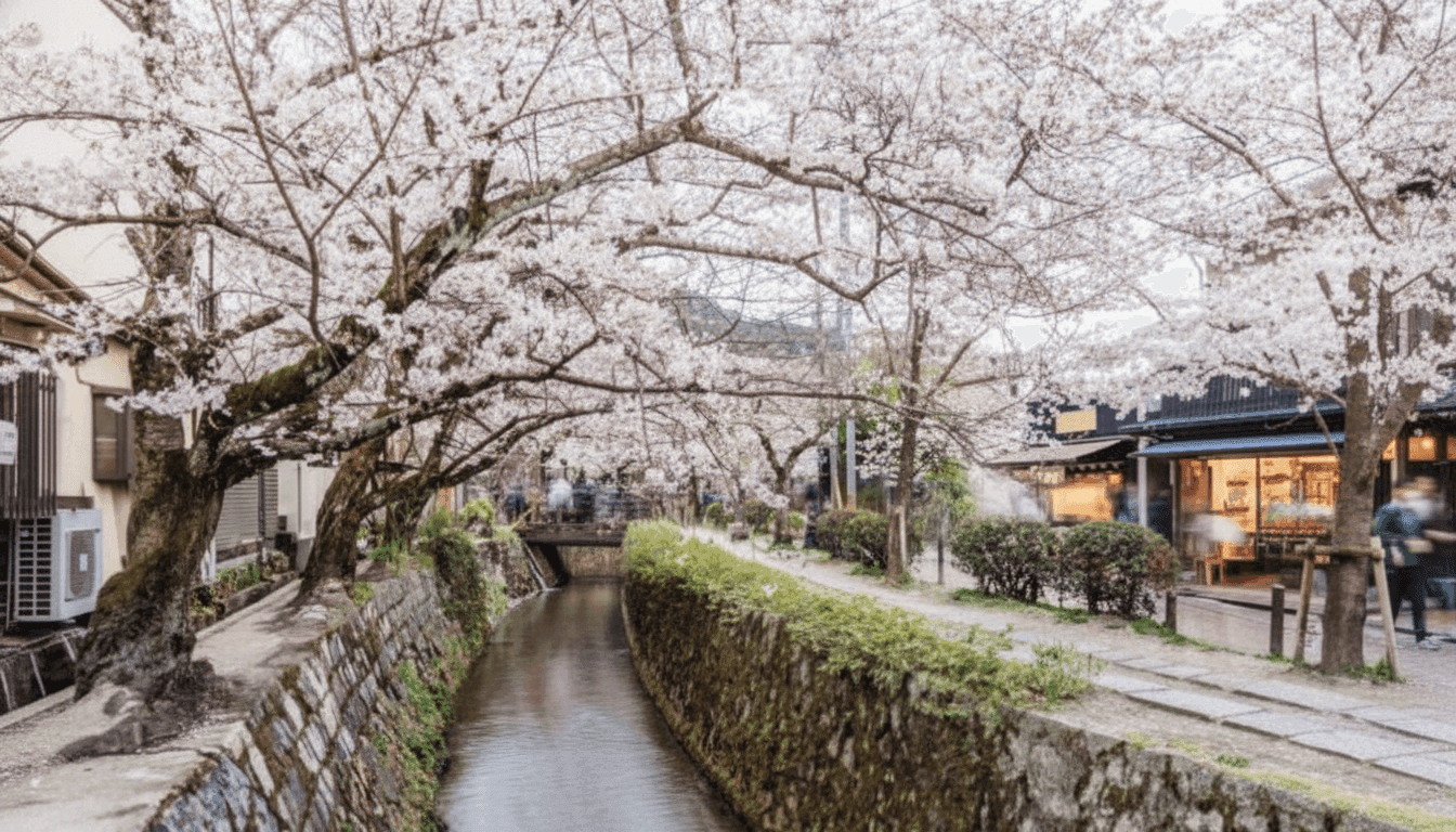 Philosopher's Path stone canal walk lined with cherry trees in full blossom reflecting in the water, Okazaki, Kyoto