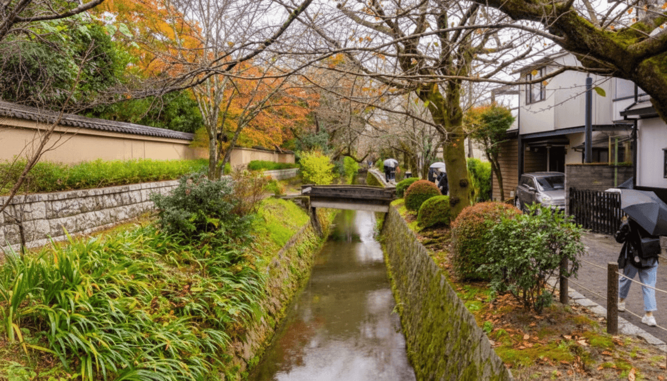 Cherry blossoms arching over the stone-lined canal of the Philosopher's Path in Kyoto