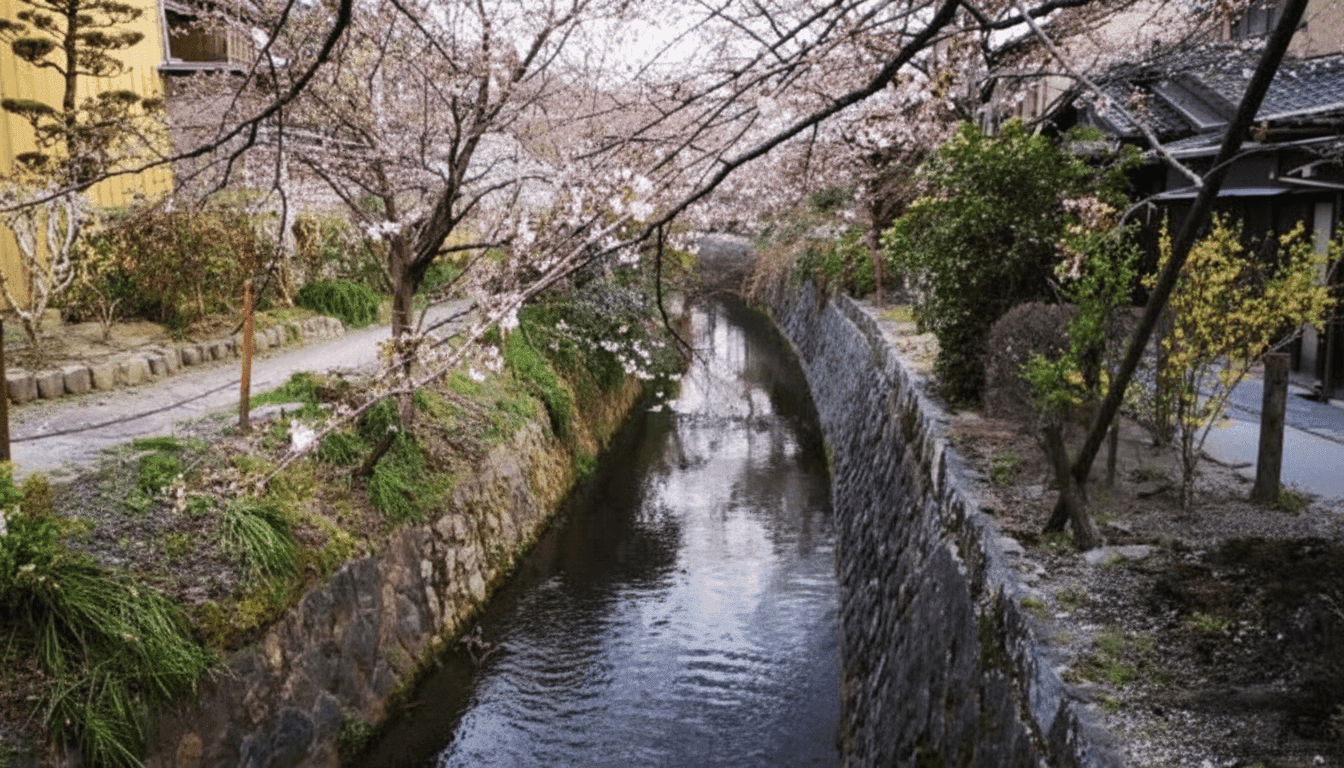 Autumn foliage along the Philosopher's Path canal walk in eastern Kyoto