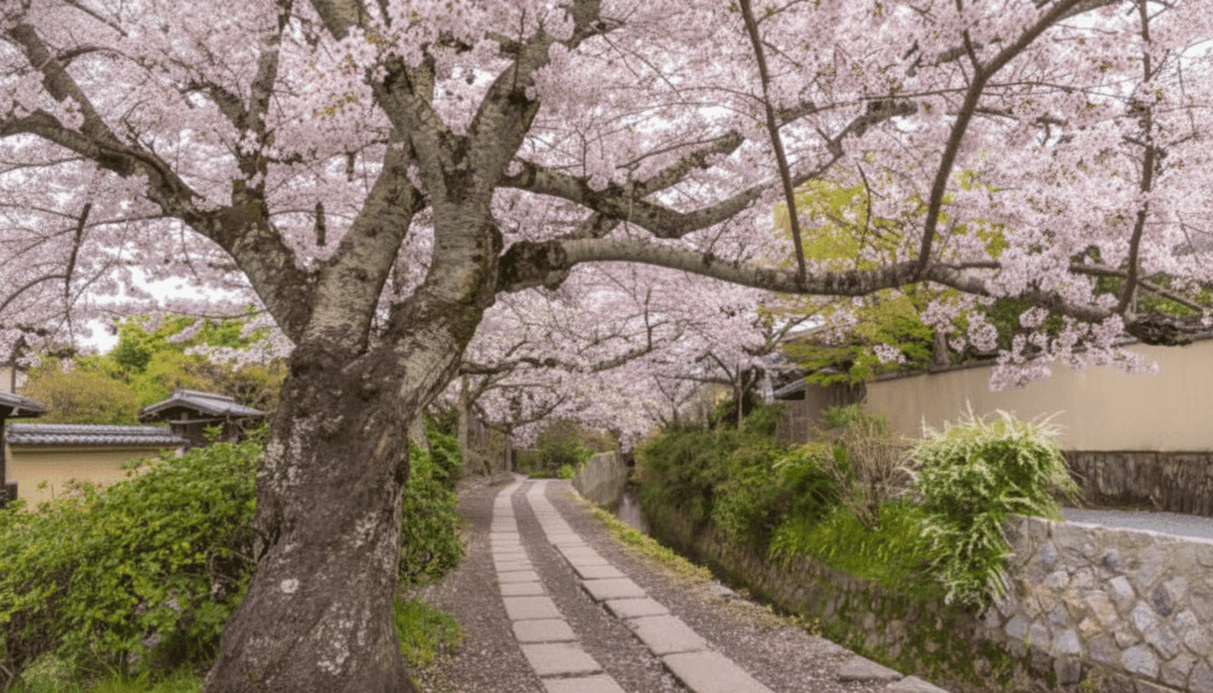 Quiet cafes and traditional shops lining the Philosopher's Path in Kyoto