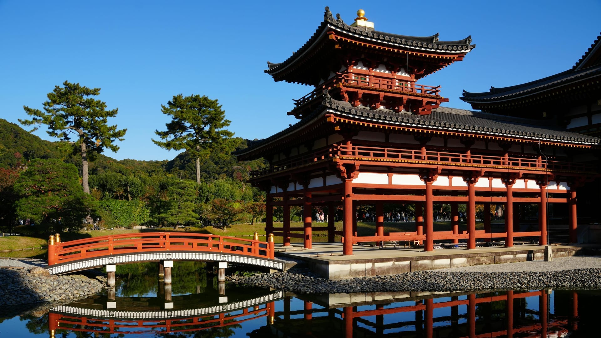 Byodo-in Temple Phoenix Hall reflected in the mirror pond with cherry blossoms at Uji, south of Kyoto