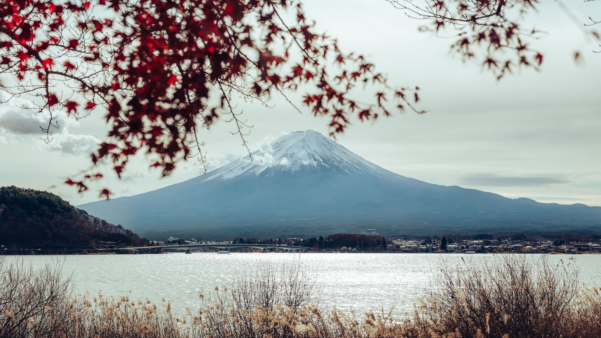 Lake Kawaguchiko calm water with Mount Fuji reflection and forested shoreline Japan