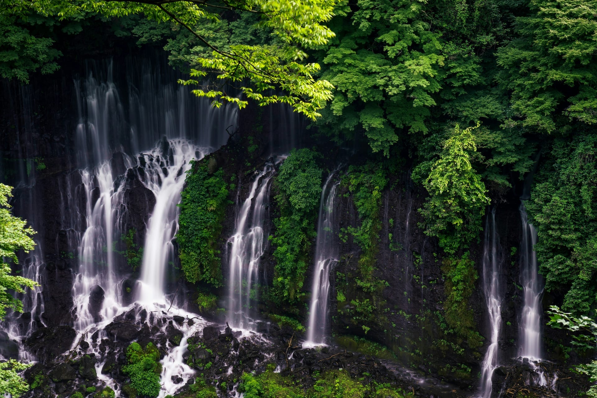 Shiraito Falls white curtain waterfall lush forest Fujinomiya Japan