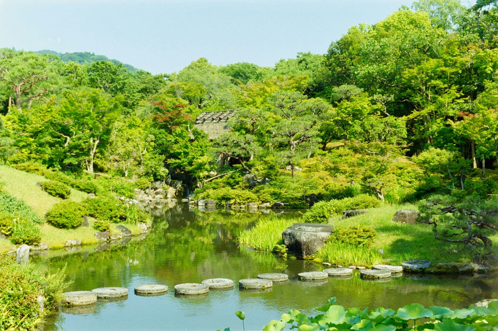 Isuien Garden pond with moss and stepping stones Nara Japan