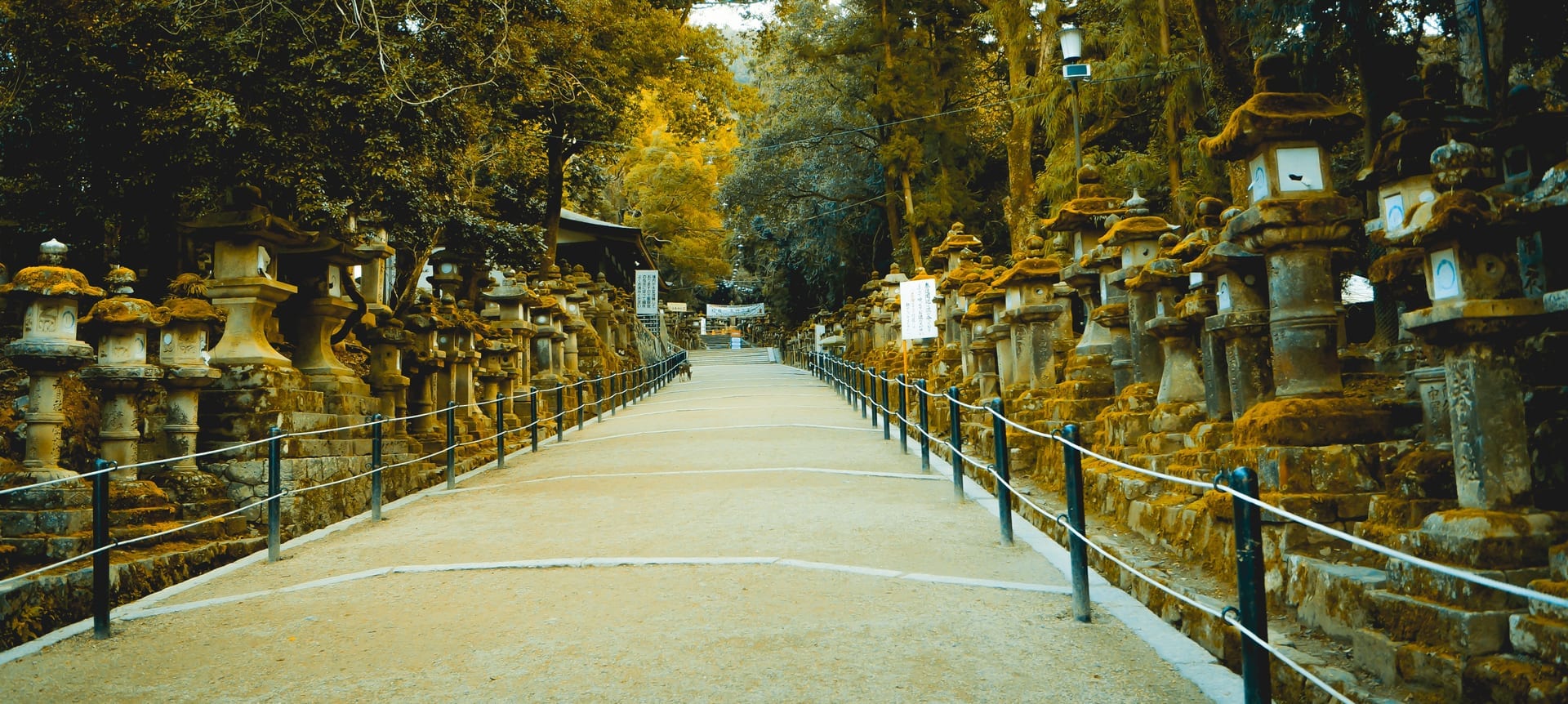 Kasuga Taisha Shrine vermilion pillars and hanging bronze lanterns Nara Japan