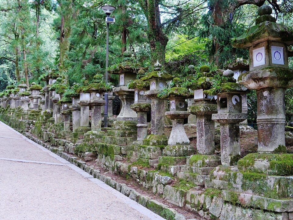 Kasuga Taisha stone lanterns lining forest path Nara Japan