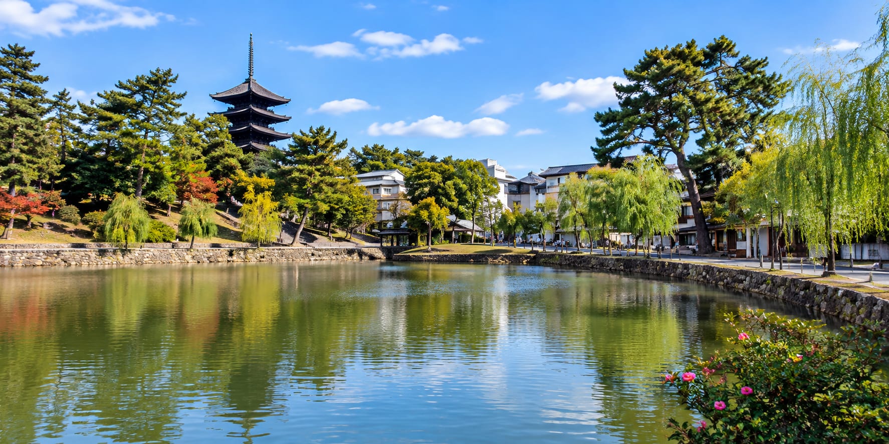 Sarusawa Pond with willow trees and Kofuku-ji's Five-Story Pagoda in the background, Nara Japan