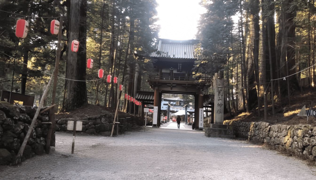 Forest pathway at Nikko Futarasan Shrine surrounded by cedar trees