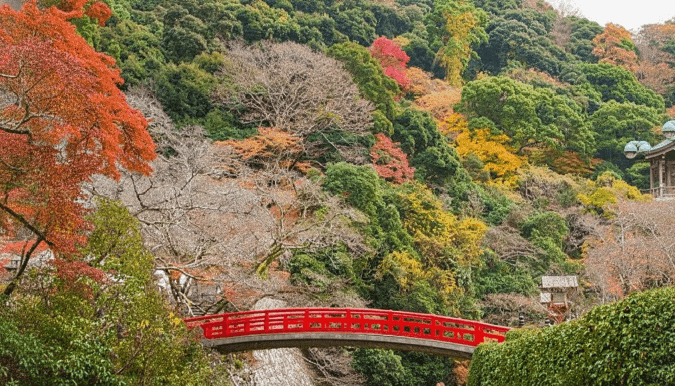 Minoo Park autumn foliage with red and gold maple leaves lining the valley walking paths, Osaka Japan
