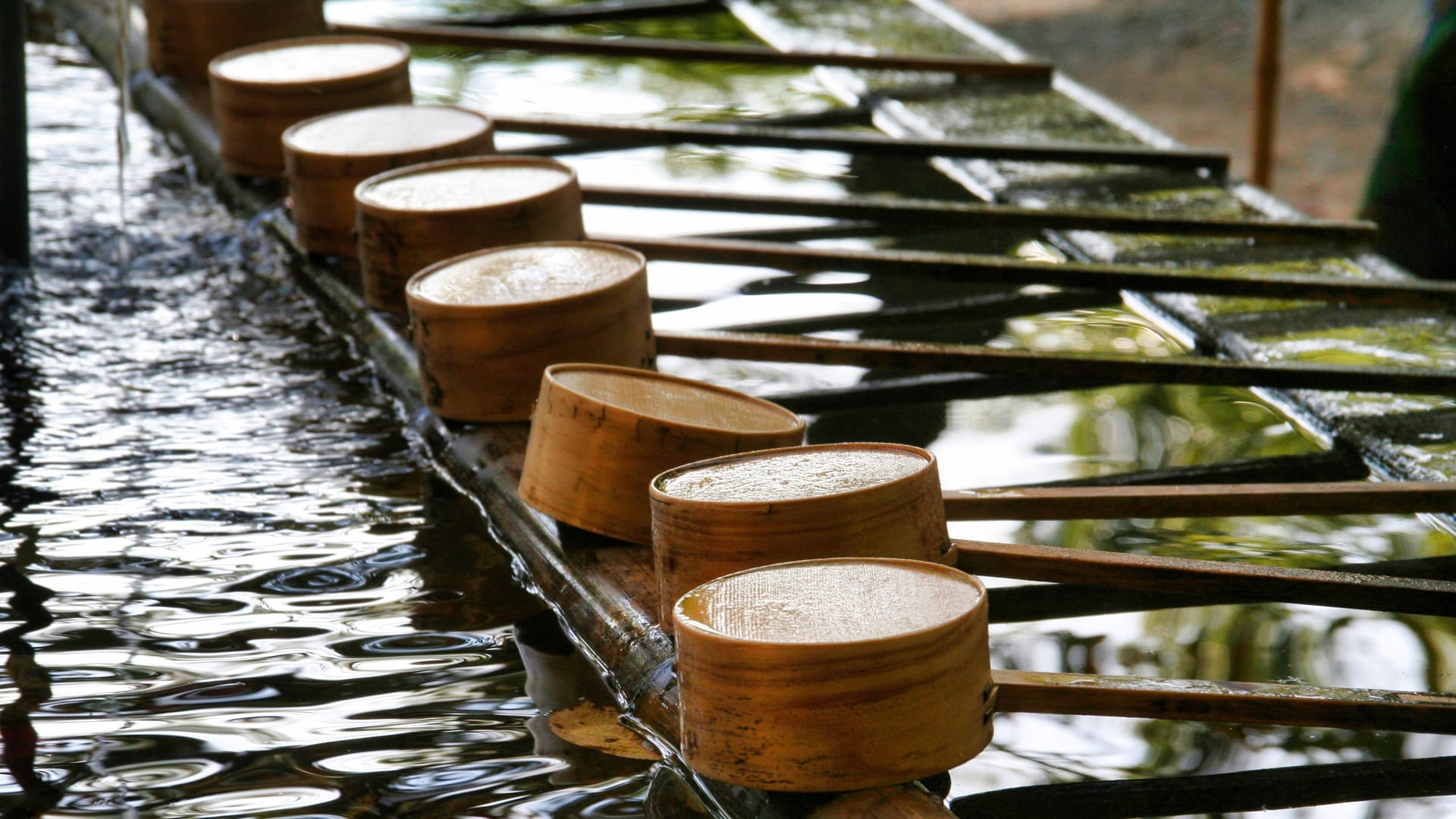 Stone pathways and hanging lanterns leading through the quiet grounds of Namba Yasaka Shrine, Osaka Japan