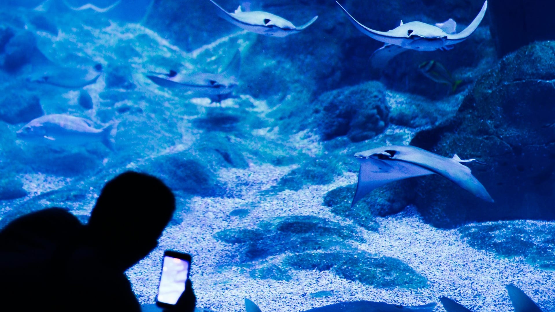 Osaka Aquarium Kaiyukan exterior beside Tempozan waterfront with Osaka Bay in the background, Japan
