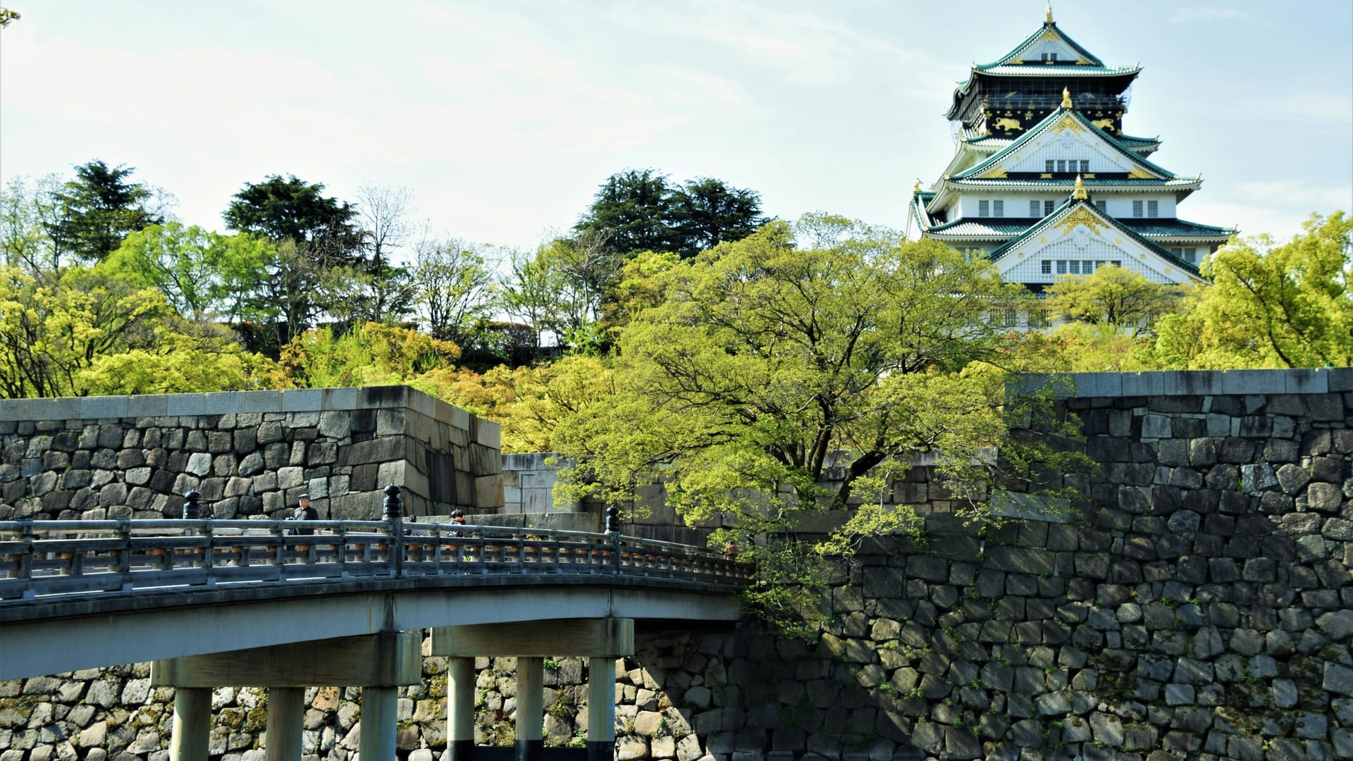 Osaka Castle white tower and stone walls reflected in the moat, surrounded by cherry blossoms in spring, Japan