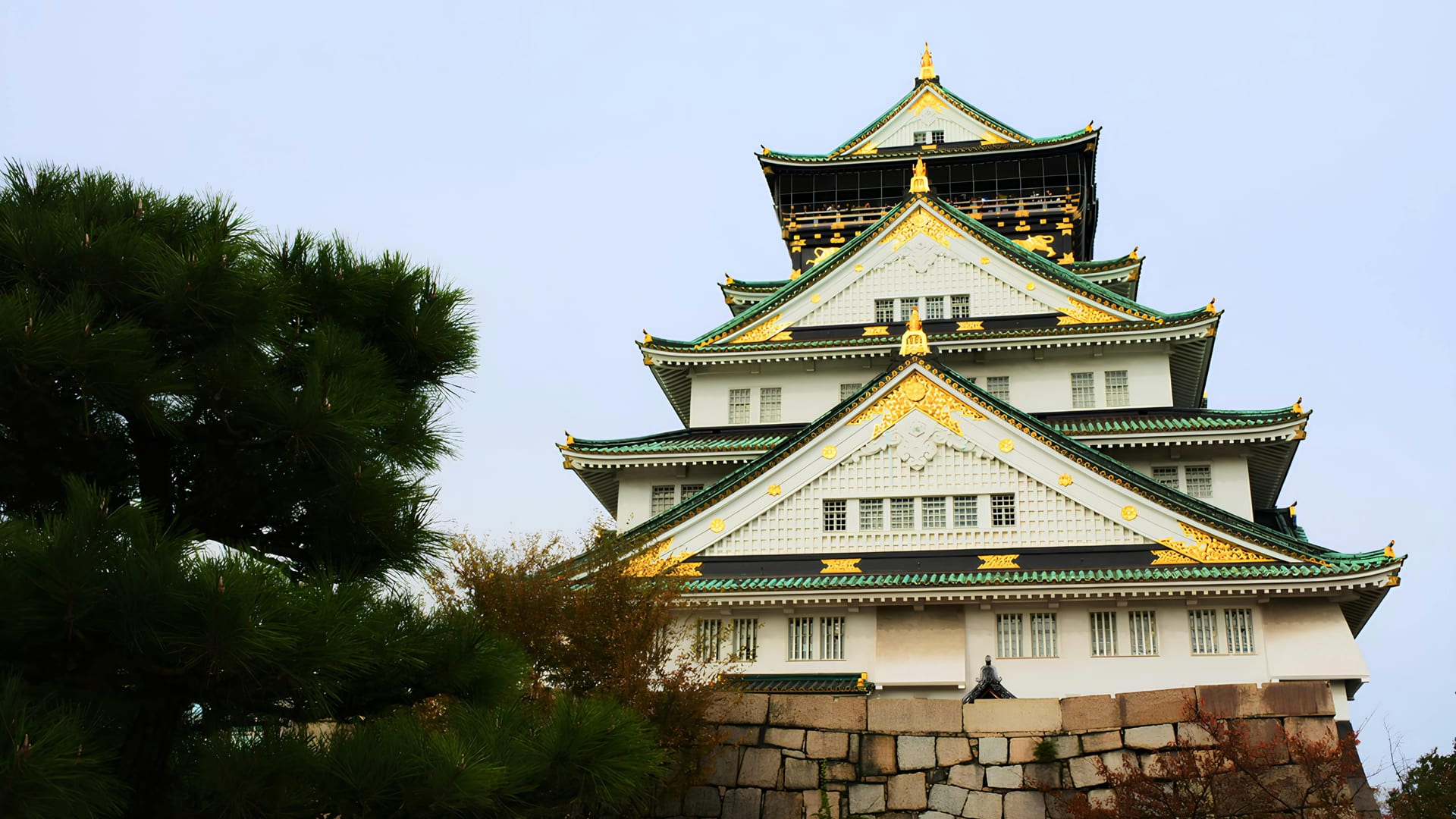 Osaka Castle surrounded by cherry blossom trees in full bloom along the moat in spring, Osaka Japan