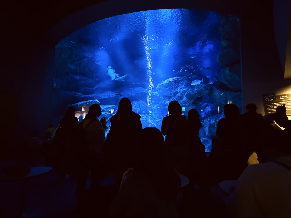 Sumida Aquarium inside Tokyo Skytree Town complex
