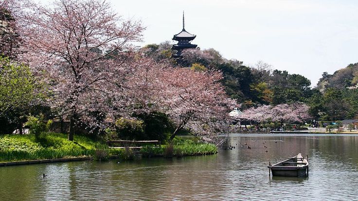 Historic buildings surrounded by seasonal foliage at Sankeien Garden