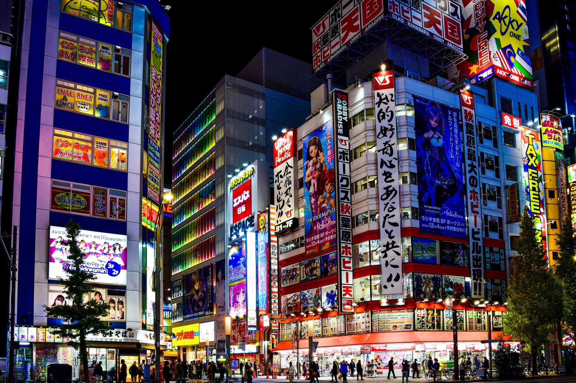Akihabara - neon signs and electronics shops, Electric Town, Tokyo, Japan