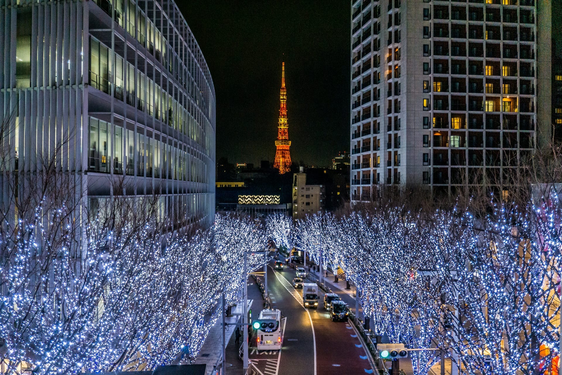 Roppongi Hills - Mori Tower and contemporary art complex at night, Tokyo, Japan
